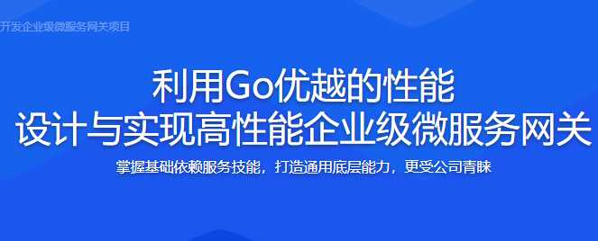 Vue+Go前端后端一体化 企业级微服务网关项目