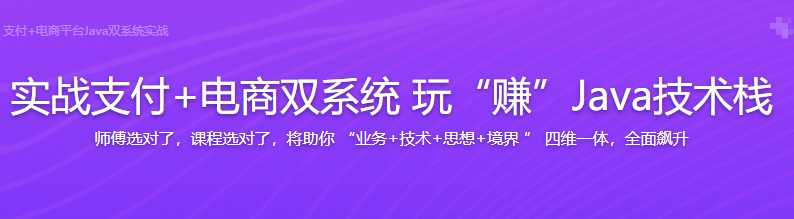 Java通用型支付+电商平台双系统实战