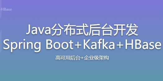 Java分布式后台开发 Spring Boot+Kafka+HBase