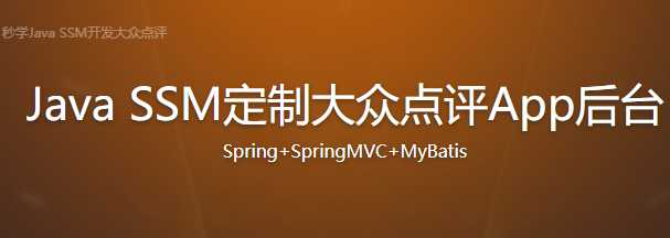 IT段子手详解MyBatis遇到Spring 秒学Java SSM开发大众点评