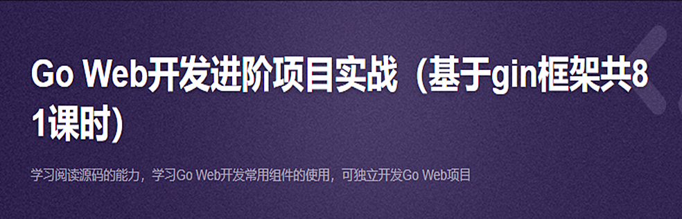 Go Web开发进阶项目实战（基于gin框架共81课时）