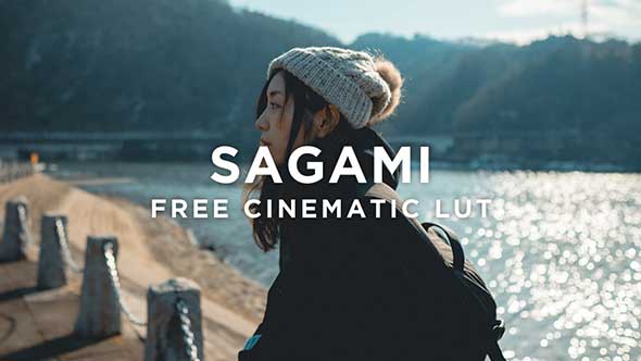 AUXOUT LUTS-FREE SAGAMI LUT