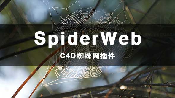 C4D插件-蜘蛛网创建插件SpiderWeb 1.21 汉化版