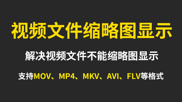 视频工具-各类视频文件缩略图显示