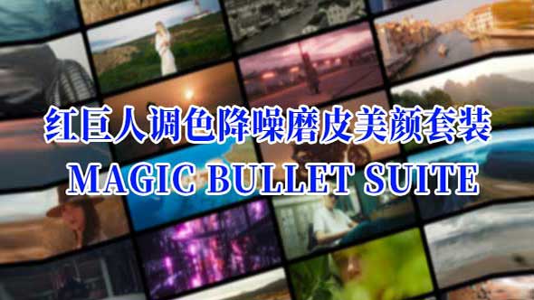 AE/PR插件-红巨人调色降噪磨皮美颜套装 Magic Bullet Suite 2024.0.1 Win版 中文/英文切换