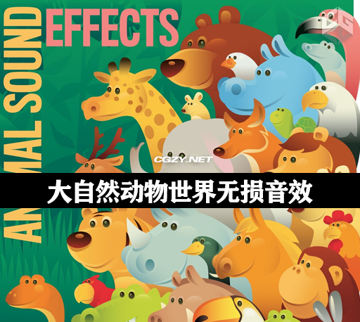 音效|30个免费大自然动物世界无损音效 Sound Effects – The Sounds of Animals Sound Effects