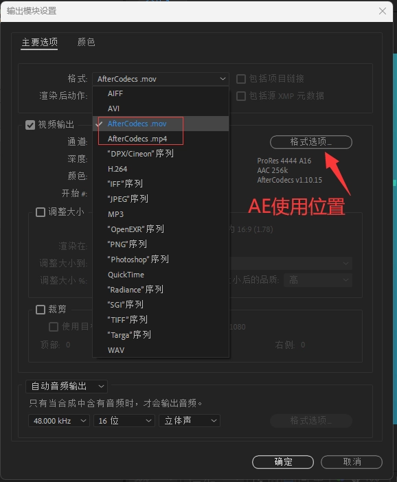 AE/PR加速渲染输出插件 AfterCodecs v1.11.5 Win中文汉化版