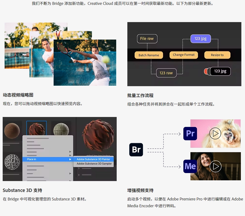 Adobe Bridge 2024 v14.0.4 Win 中/英文官方破解版下载