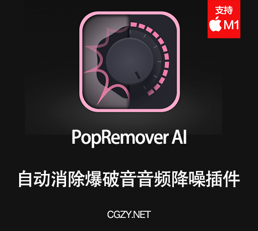 音频插件|自动消除爆破音音频降噪工具 PopRemover AI 2