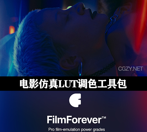 LUTS预设|Colorist Factory电影仿真LUT调色 FilmForever? Film Emulation Power Grades