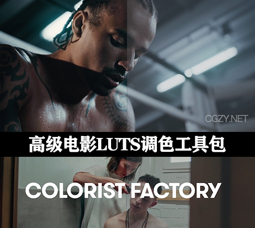 LUTS预设|Colorist Factory终极调色师工具包 Premium Bundle & 4K Grain Digital Remaster