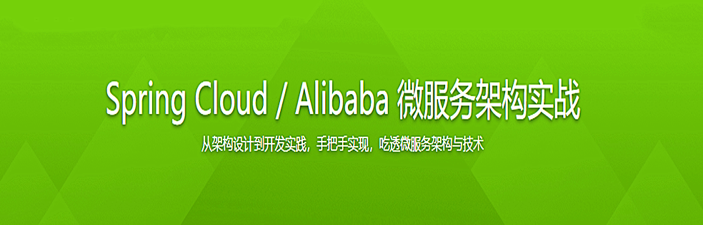 图片[1]-Spring Cloud / Alibaba 微服务架构实战 - 干货网-干货网