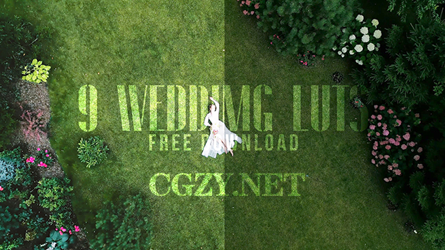 LUTS预设|9种婚礼MV场景调色预设 Wedding LUT